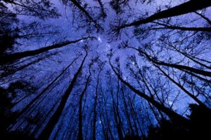 Do Solar Panels Work At Night?